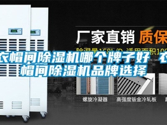 企業(yè)新聞衣帽間除濕機(jī)哪個(gè)牌子好 衣帽間除濕機(jī)品牌選擇