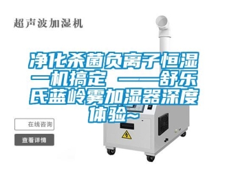 知識百科凈化殺菌負離子恒濕一機搞定 ——舒樂氏藍嶺霧加濕器深度體驗~