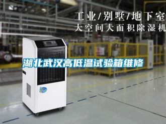 常見問題湖北武漢高低溫試驗箱維修