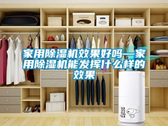 常見問題家用除濕機效果好嗎—家用除濕機能發揮什么樣的效果