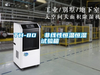 常見問題TH-80  非線性恒溫恒濕試驗箱