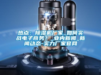 常見問題熱點：除濕機廠家_如何實戰(zhàn)電子商務？_業(yè)內新聞_新聞動態(tài)-實力廠家官網