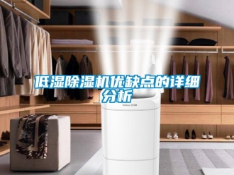 企業新聞低濕除濕機優缺點的詳細分析