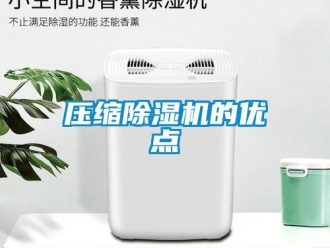 知識百科壓縮除濕機的優點