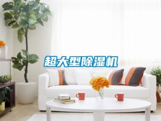 企業新聞超大型除濕機