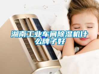 常見問題湖南工業(yè)車間除濕機(jī)什么牌子好