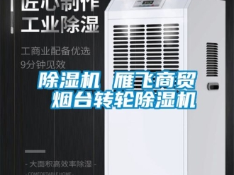 常見(jiàn)問(wèn)題除濕機(jī) 雁飛商貿(mào) 煙臺(tái)轉(zhuǎn)輪除濕機(jī)