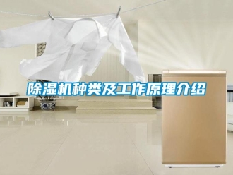 行業新聞除濕機種類及工作原理介紹