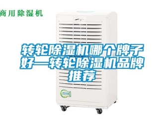 常見問題轉(zhuǎn)輪除濕機(jī)哪個牌子好—轉(zhuǎn)輪除濕機(jī)品牌推薦