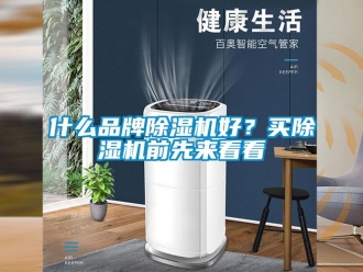 知識百科什么品牌除濕機好？買除濕機前先來看看