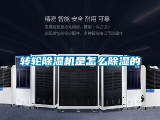 常見問題轉輪除濕機是怎么除濕的