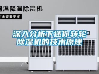 常見問題深入分析下迷你轉輪除濕機的技術原理