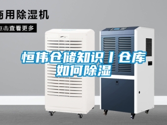 企業(yè)新聞恒偉倉儲知識丨倉庫如何除濕