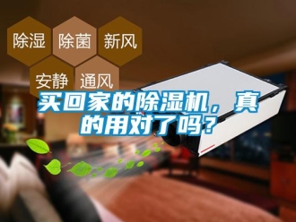 行業新聞買回家的除濕機，真的用對了嗎？