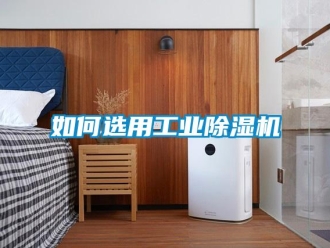 常見問題如何選用工業(yè)除濕機(jī)