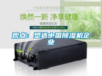 行業(yè)新聞觀點：塑造中國除濕機企業(yè)