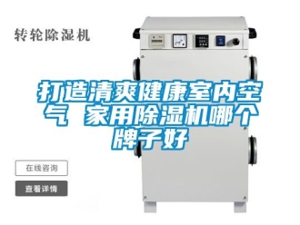 常見問題打造清爽健康室內空氣 家用除濕機哪個牌子好