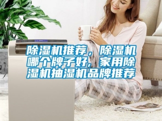 企業新聞除濕機推薦，除濕機哪個牌子好, 家用除濕機抽濕機品牌推薦