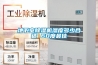 地下室除濕機(jī)濕度多少合適 60度最佳
