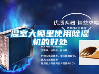 知識百科溫室大棚里使用除濕機的好處