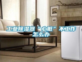 常見問題工業(yè)除濕器“心臟”不工作怎么辦