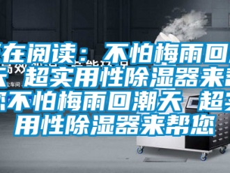 行業(yè)新聞?wù)陂喿x：不怕梅雨回潮天 超實(shí)用性除濕器來(lái)幫您不怕梅雨回潮天 超實(shí)用性除濕器來(lái)幫您