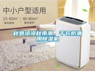 行業新聞秋意涼涼秋雨潮，干衣防潮用除濕機