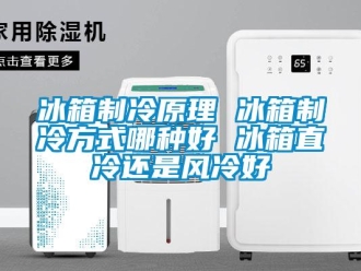 常見問題冰箱制冷原理 冰箱制冷方式哪種好 冰箱直冷還是風冷好