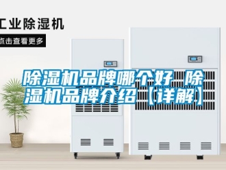 企業新聞除濕機品牌哪個好 除濕機品牌介紹【詳解】