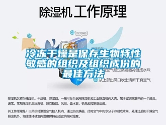 行業(yè)新聞冷凍干燥是保存生物特性敏感的組織及組織成份的最佳方法