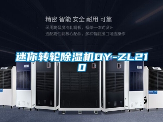 常見問題迷你轉輪除濕機DY-ZL210
