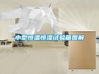 知識百科小型恒溫恒濕試驗箱圖解