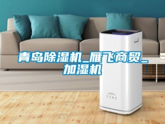 行業(yè)新聞青島除濕機_雁飛商貿(mào)_加濕機
