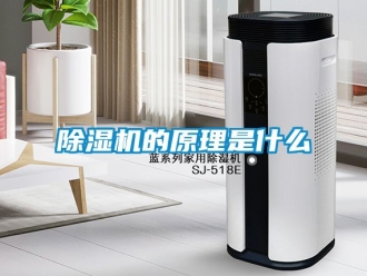 企業新聞除濕機的原理是什么