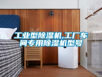 常見問題工業型除濕機,工廠車間專用除濕機型號