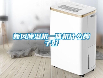 知識百科新風除濕機一體機什么牌子好