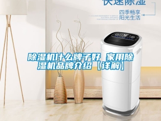 企業新聞除濕機什么牌子好 家用除濕機品牌介紹【詳解】