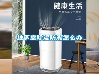 常見問題地下室除濕防潮怎么辦