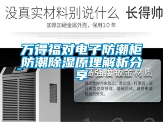 常見問題萬得福對電子防潮柜防潮除濕原理解析分享