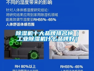 常見問題除濕機十大品牌排名榜（工業除濕機什么品牌好）