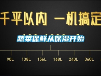 知識百科蔬菜保鮮從保濕開始
