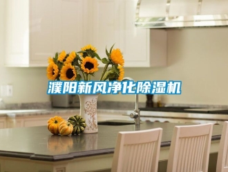 常見問題濮陽新風凈化除濕機