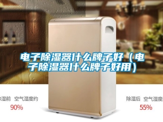 行業新聞電子除濕器什么牌子好（電子除濕器什么牌子好用）