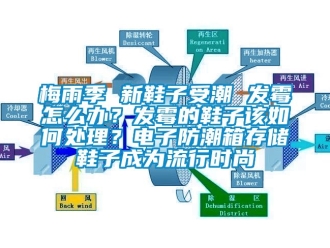 常見問題梅雨季 新鞋子受潮 發霉怎么辦？發霉的鞋子該如何處理？電子防潮箱存儲鞋子成為流行時尚