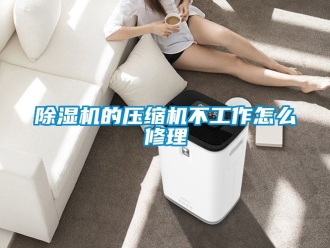 企業新聞除濕機的壓縮機不工作怎么修理