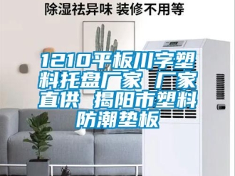 企業新聞1210平板川字塑料托盤廠家 廠家直供 揭陽市塑料防潮墊板