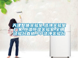知識百科天津整體實驗室,潔凈實驗室廠家,恒溫恒濕實驗室,全鋼試驗臺直銷,PP潔凈實驗臺