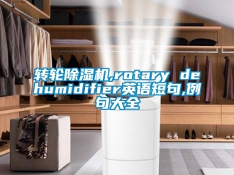 常見問題轉輪除濕機,rotary dehumidifier英語短句,例句大全