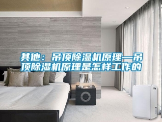 行業(yè)新聞其他：吊頂除濕機(jī)原理—吊頂除濕機(jī)原理是怎樣工作的