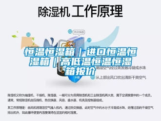 知識百科恒溫恒濕箱｜進口恒溫恒濕箱｜高低溫恒溫恒濕箱報價